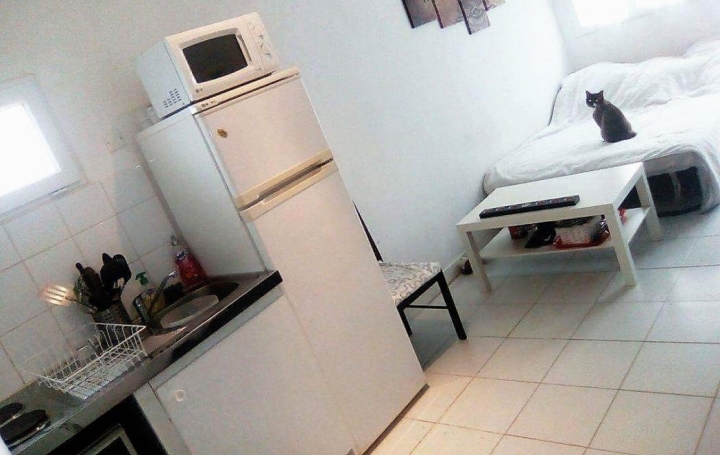 Annonces VAL D'AZERGUES : Appartement | LE CRES (34920) | 24 m2 | 425 € 